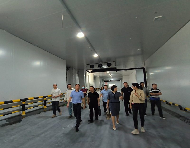 1694679529873968.png 圖片11.png