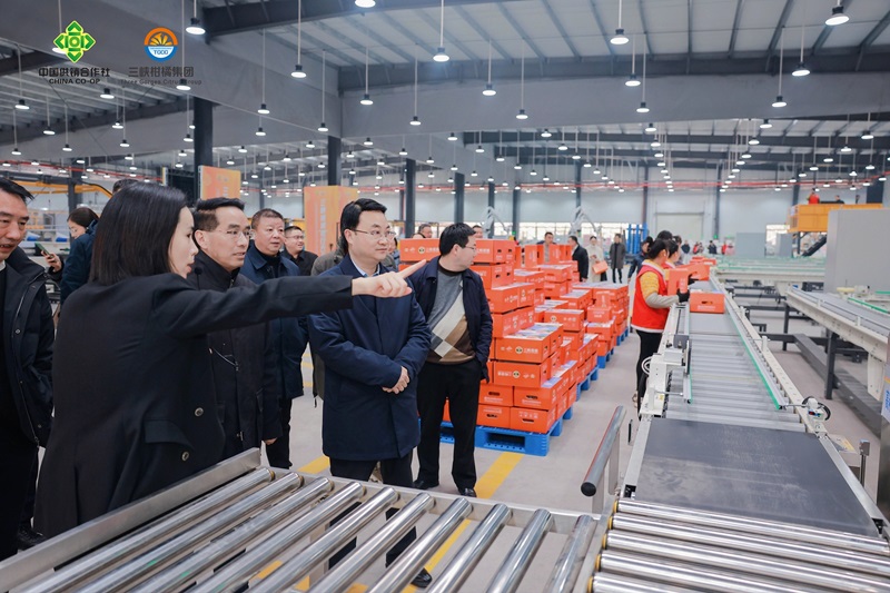 1703759613839437.jpg opq689305271.jpg