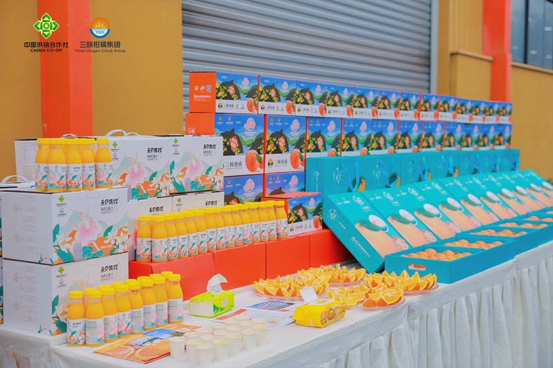 1703759678357574.jpg opq689220402.jpg